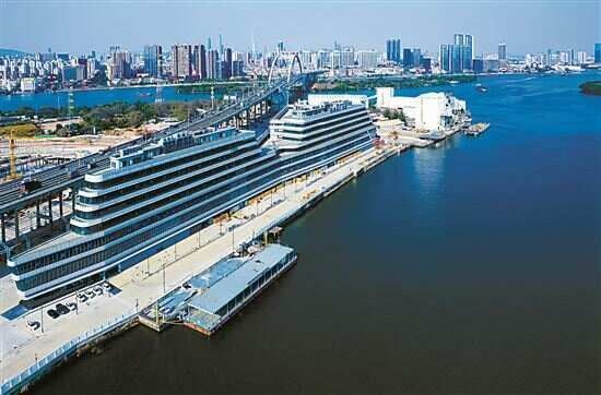 廣州哪個金龍魚市場最大（廣州最大的金龍魚批發市場）