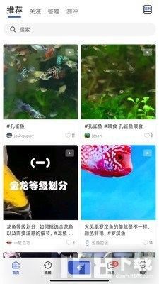 鯤天下APP的用戶評價如何？（鯤天下app有哪些達人入駐鯤天下app）