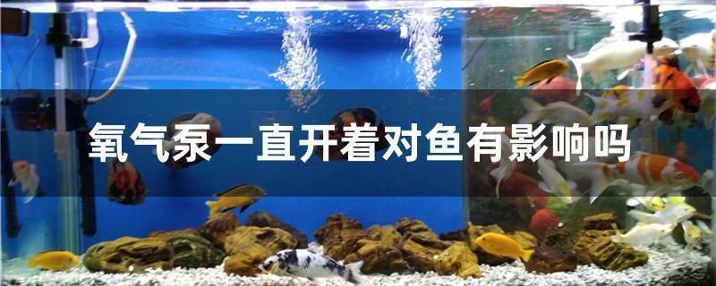 <strong><mark>大同</mark></strong>龍魚(<strong><mark>大同</mark></strong>攉龍)（關于<strong><mark>大同</mark></strong>龍魚的一些小知識）