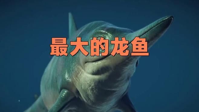 世界上有記錄的最大金龍魚是多少（世界上最大的金龍魚）