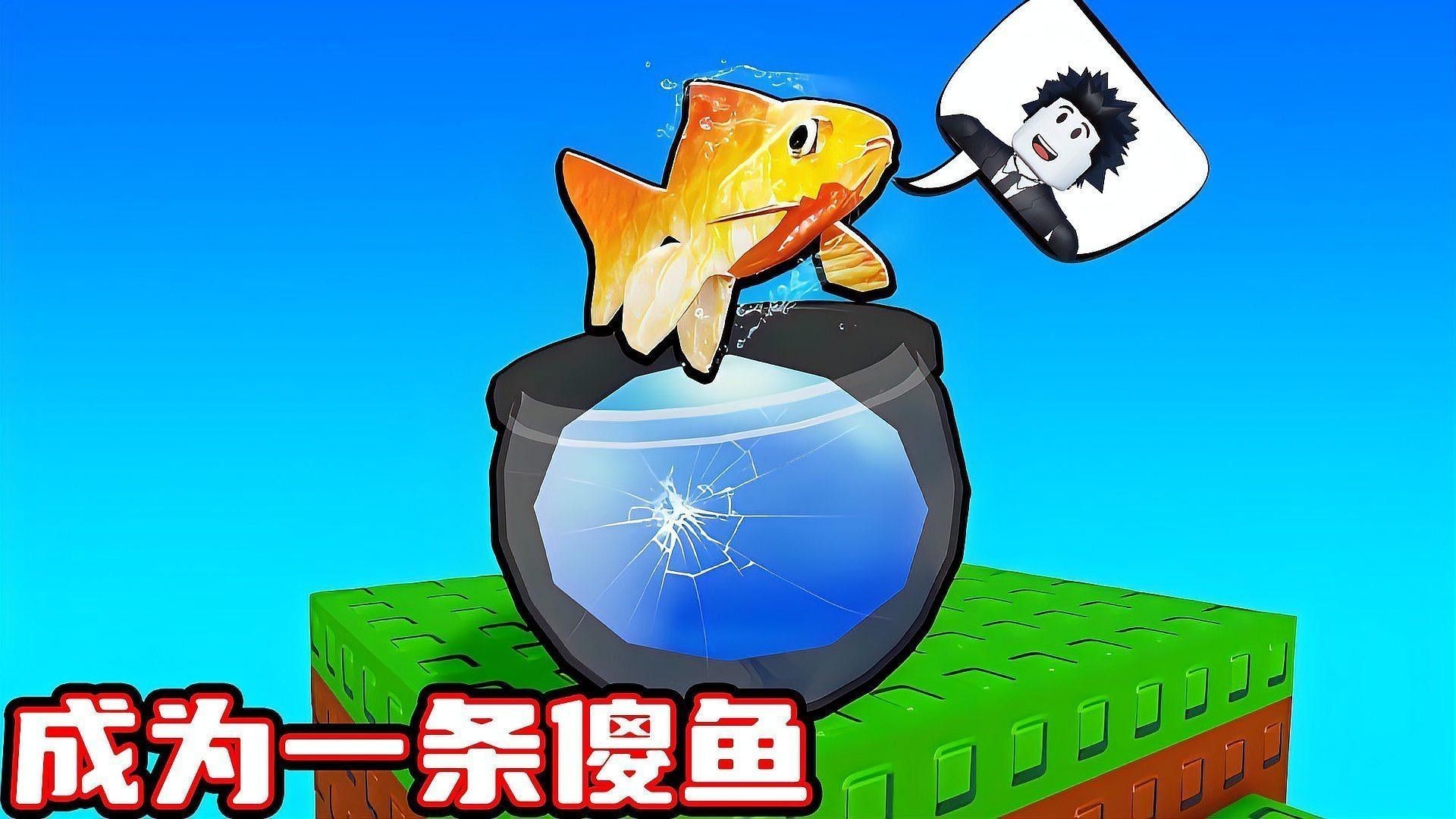 彩蝶龍魚缸的海水魚飼養(yǎng)視頻（彩蝶龍魚缸海水魚飼養(yǎng)視頻） 彩蝶龍魚缸的海水魚飼養(yǎng)視頻（彩蝶龍魚缸海水魚飼養(yǎng)視頻） 龍魚百科 第1張