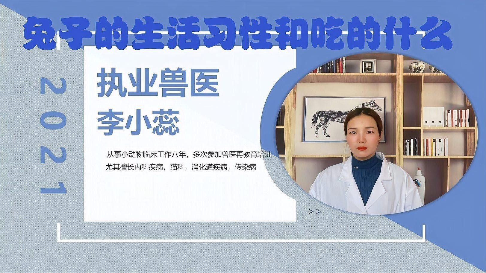 荷蘭豬和兔子能和平相處嗎？（twincamfx荷蘭豬可以和兔子一起養(yǎng)嗎） 荷蘭豬和兔子能和平相處嗎？（twincamfx荷蘭豬可以和兔子一起養(yǎng)嗎） 龍魚(yú)百科 第2張