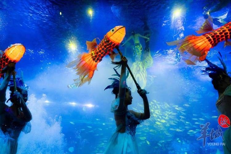 博白哪個(gè)水族館龍魚(yú)好？祥龍魚(yú)場(chǎng)龍魚(yú)（博白縣祥龍魚(yú)場(chǎng)水族館）