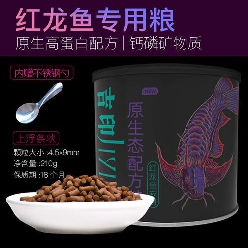 哪些食物有助于龍魚爬背（老農談三農，龍魚喂養全攻略:掌握這些細節，讓你的龍魚健康成長）