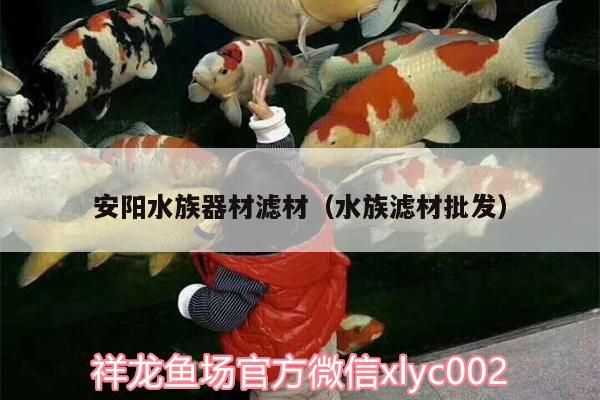 安陽水族器材濾材（水族濾材批發）（安陽水族器材濾材批發商提供一系列水族濾材的作用）