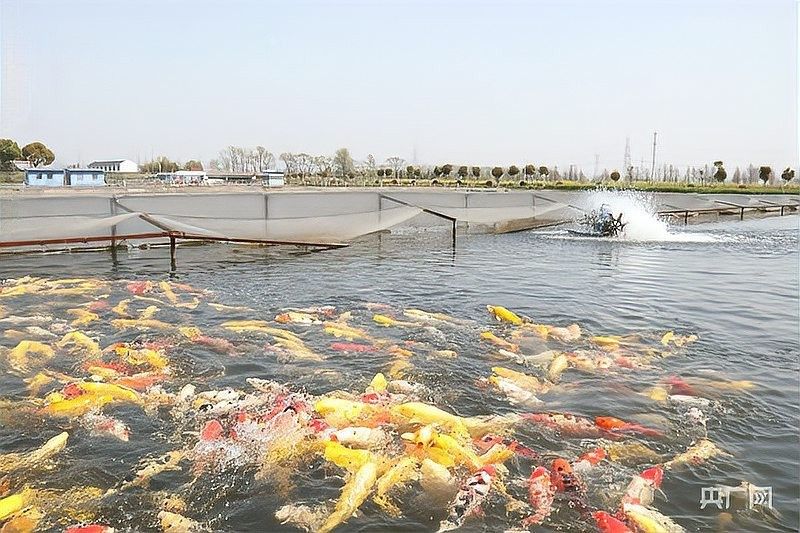 如何聯系上海的水產醫療團隊（上海水產醫療團隊的聯系方式及機構信息及機構信息）