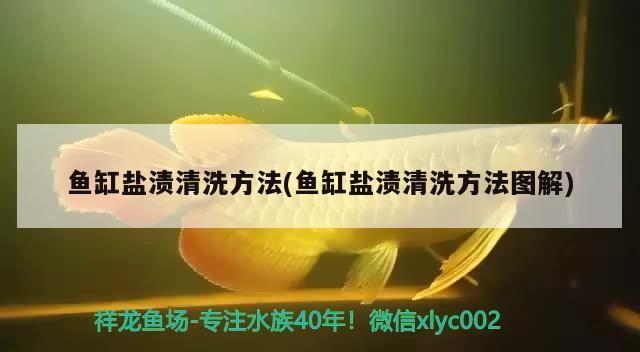 魚缸鹽漬清洗方法(魚缸鹽漬清洗方法圖解)（魚缸鹽漬清洗方法）