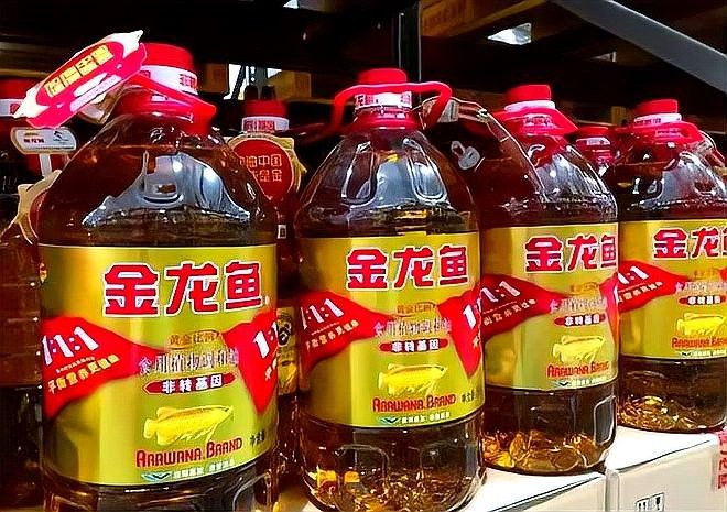 金龍魚東南亞市場的挑戰(zhàn)有哪些？（金龍魚在東南亞市場面臨挑戰(zhàn)） 金龍魚東南亞市場的挑戰(zhàn)有哪些？（金龍魚在東南亞市場面臨挑戰(zhàn)） 龍魚百科 第6張