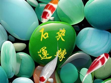能推薦一些紅福龍魚動態壁紙嗎（福龍魚動態壁紙是一種視覺藝術，它是一種視覺藝術）