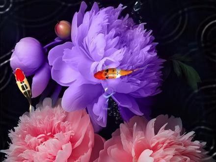 能推薦一些紅福龍魚動態壁紙嗎（福龍魚動態壁紙是一種視覺藝術，它是一種視覺藝術）