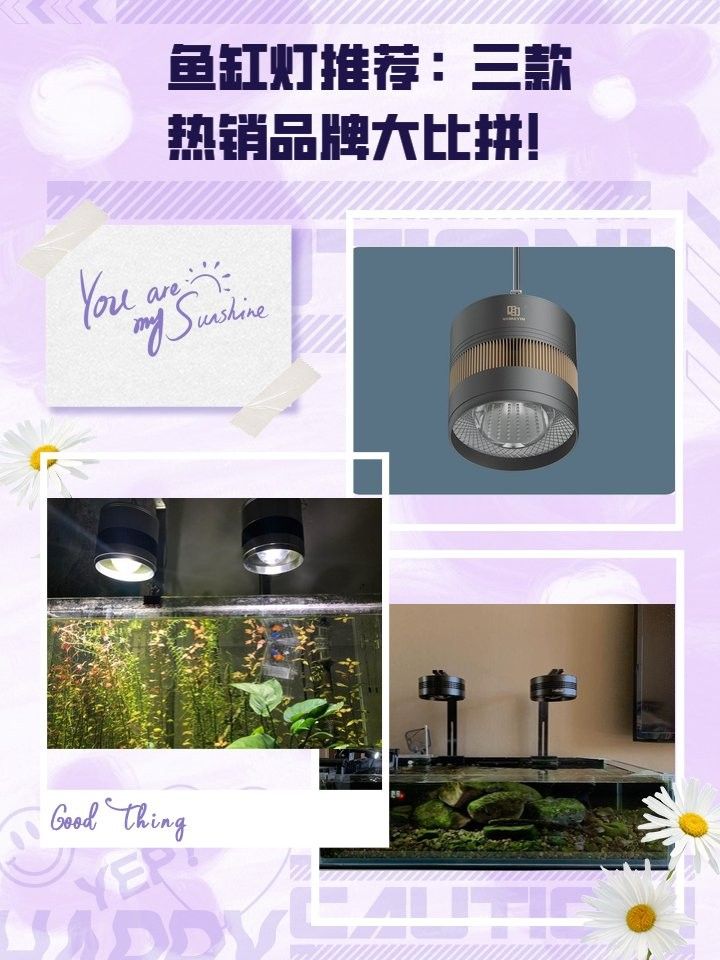 龍魚缸中哪種燈品牌最好？（評價較高的龍魚缸燈具品牌-燈具品牌排行榜） 龍魚缸中哪種燈品牌最好？（評價較高的龍魚缸燈具品牌-燈具品牌排行榜） 龍魚百科 第11張