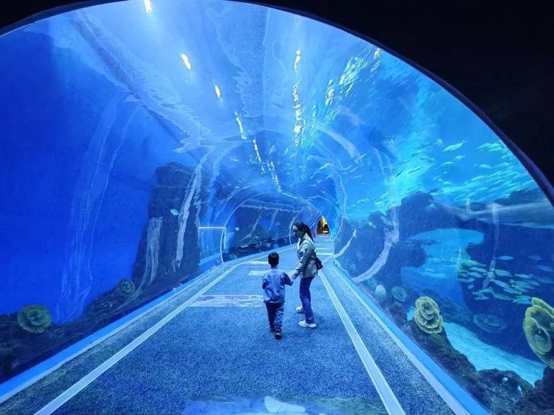 雙流哪個(gè)水族館龍魚(yú)好？祥龍魚(yú)場(chǎng)龍魚(yú)（廣州龍魚(yú)祥龍魚(yú)場(chǎng),成都海洋館遛娃記-大眾點(diǎn)評(píng)）
