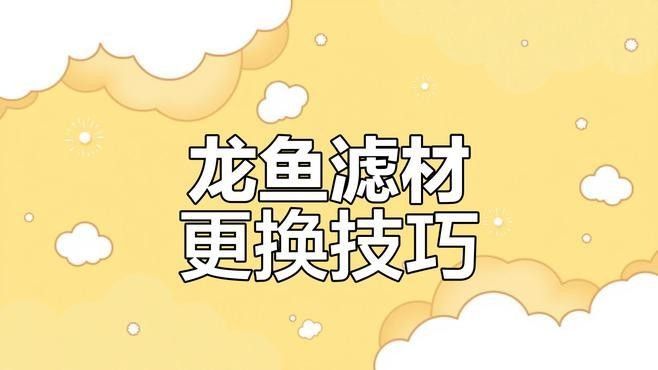 龍魚缸濾材多久換一次（龍魚缸濾材多久換一次龍魚缸濾材更換與水質管理技巧）