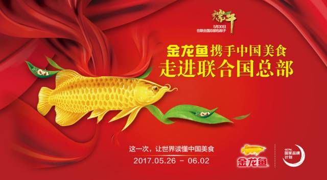 金龍魚 紅龍（金龍魚紅龍是什么魚）