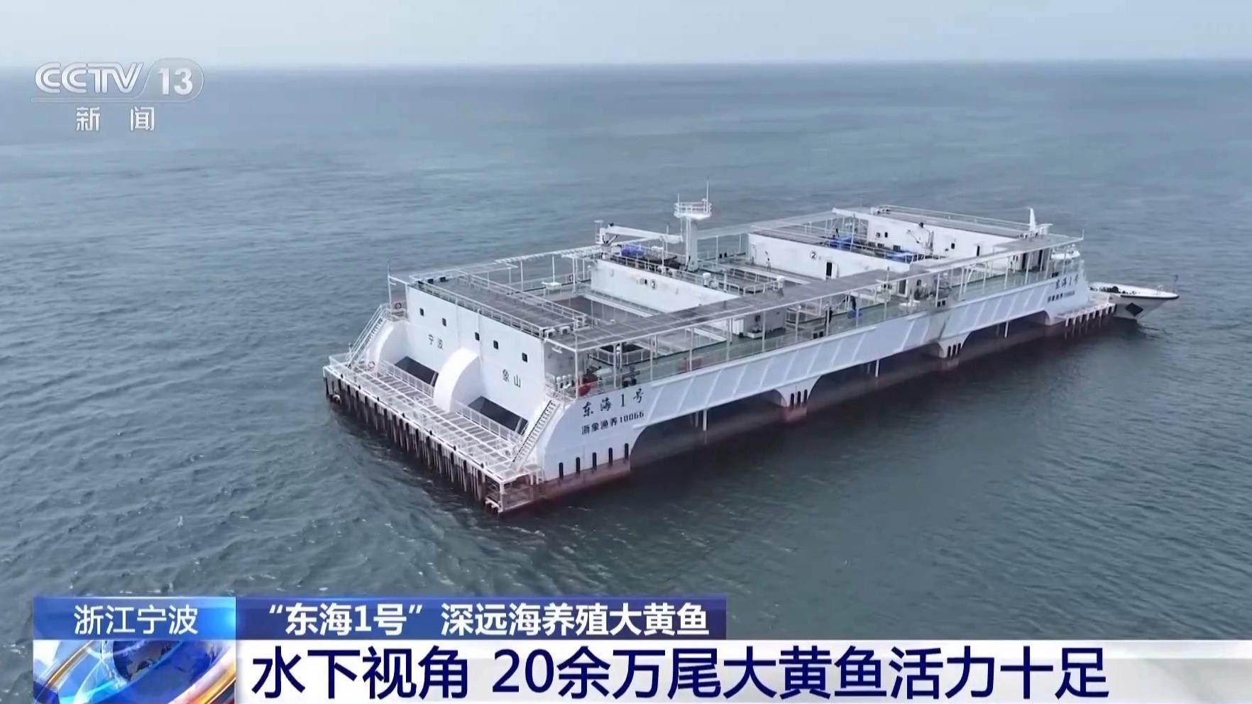 山東龍魚養殖場推薦（山東省內龍魚養殖產業主要集中在東明縣黃河灘區養殖場及注意事項）