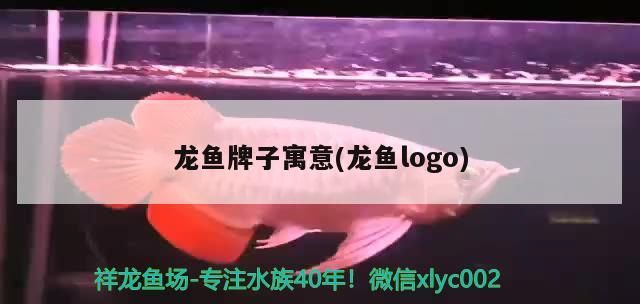 龍魚牌子寓意(龍魚logo)（金龍魚牌子寓意和龍魚牌子寓意和龍魚logo的寓意）
