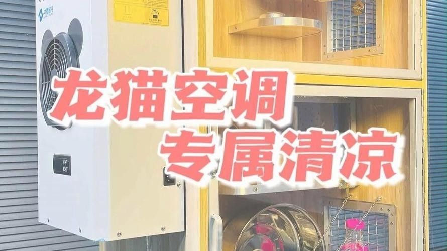 給我推薦一些適合龍貓的恒溫設備（淘寶網,龍貓冰窩什么值得買恒溫設備推薦及使用建議） 給我推薦一些適合龍貓的恒溫設備（淘寶網,龍貓冰窩什么值得買恒溫設備推薦及使用建議） 龍魚百科 第5張