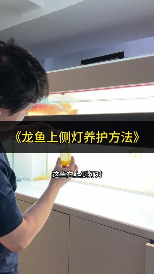 金龍魚燈光多久換一次？（——龍魚燈光的更換頻率取決于多個因素）