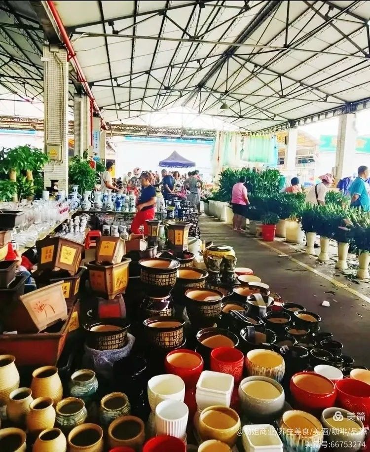 清河市場的營業時間是？（清河市場的營業時間是什么時候） 清河市場的營業時間是？（清河市場的營業時間是什么時候） 龍魚百科 第1張