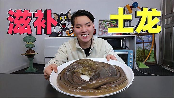 土龍魚和蛇哪個更危險？（土龍魚和土龍魚哪個更危險？） 土龍魚和蛇哪個更危險？（土龍魚和土龍魚哪個更危險？） 龍魚百科 第3張
