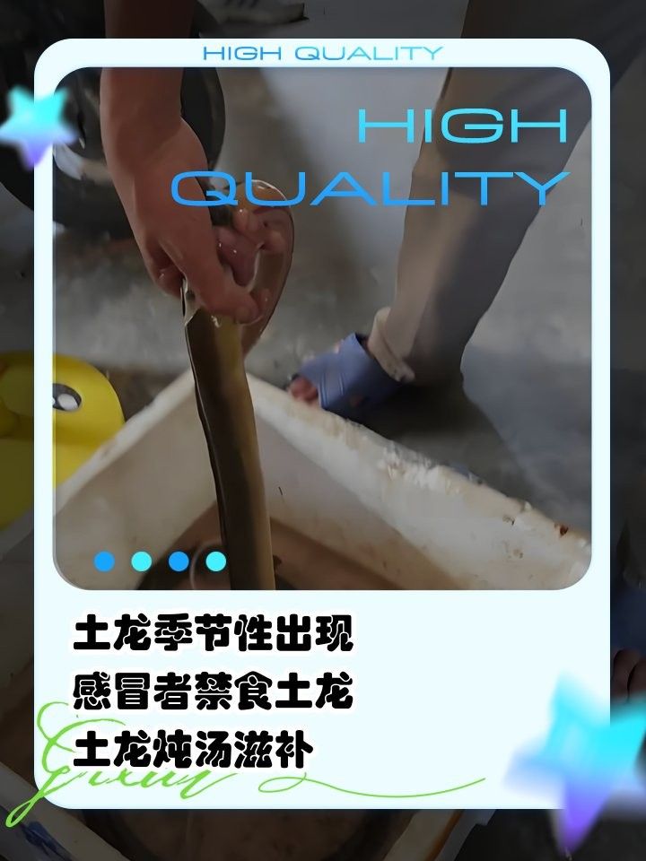 土龍魚和蛇哪個更危險？（土龍魚和土龍魚哪個更危險？） 土龍魚和蛇哪個更危險？（土龍魚和土龍魚哪個更危險？） 龍魚百科 第8張