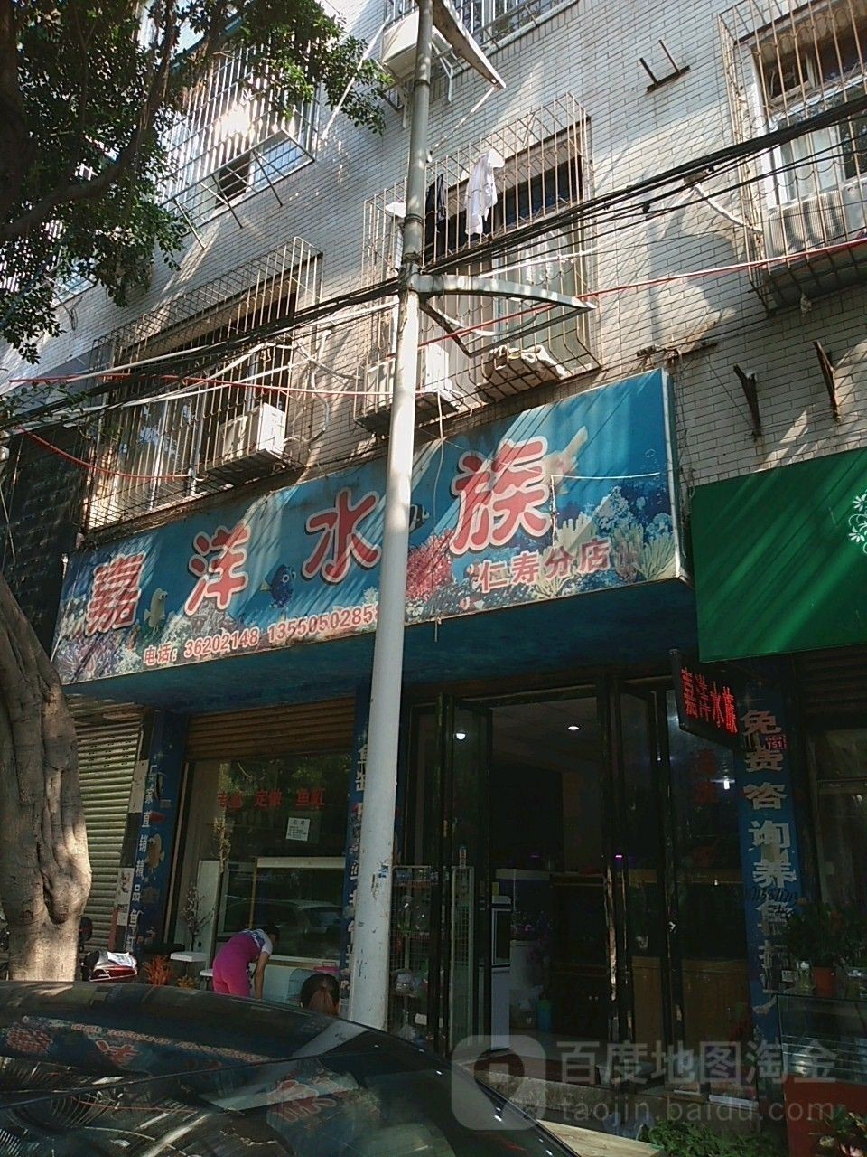 仁壽哪個水族館龍魚好？祥龍魚場龍魚（仁壽哪個水族館龍魚好）