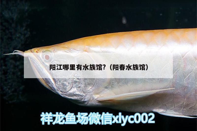 陽江哪里有水族館?（陽春水族館）（廣東陽春水族館，海陵島海洋生態系統的海洋生態系統） 陽江哪里有水族館?（陽春水族館）（廣東陽春水族館，海陵島海洋生態系統的海洋生態系統） 觀賞魚百科