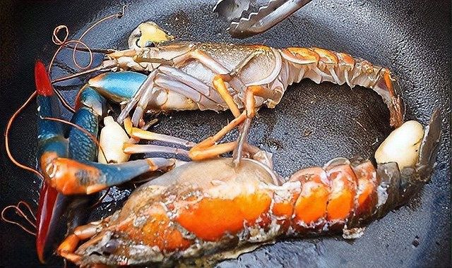 澳洲龍魚的價格是多少（悉尼臥龍崗捕撈澳洲大龍蝦全攻略悉尼臥龍崗捕撈澳洲大龍蝦）