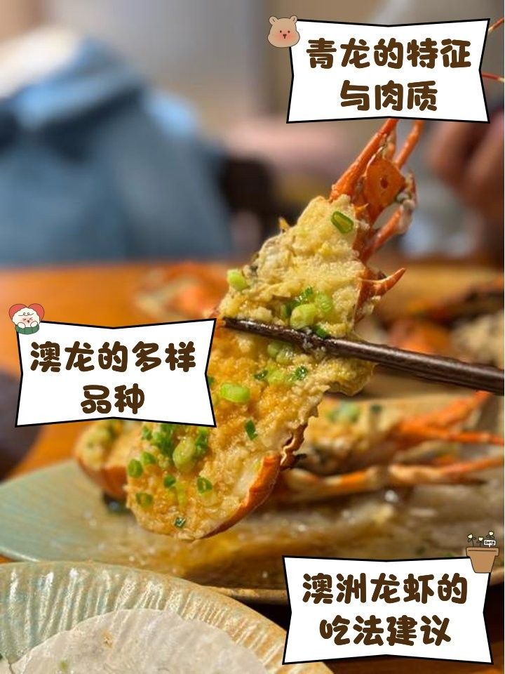 澳洲龍魚的價格是多少（悉尼臥龍崗捕撈澳洲大龍蝦全攻略悉尼臥龍崗捕撈澳洲大龍蝦）