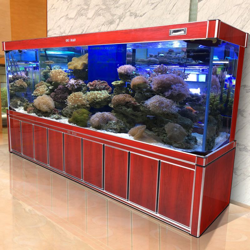 金龍魚適宜的水族箱布置，金龍魚水族箱布置方案