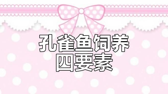 雷龍魚和孔雀魚哪個更好養(yǎng)（新手養(yǎng)魚怕翻車這5種“懶人魚”隨便養(yǎng)都爆缸）