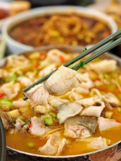 水龍魚(yú)的美食攝影作品哪里找（如何尋找水龍魚(yú)美食攝影作品） 水龍魚(yú)的美食攝影作品哪里找（如何尋找水龍魚(yú)美食攝影作品） 龍魚(yú)百科 第20張