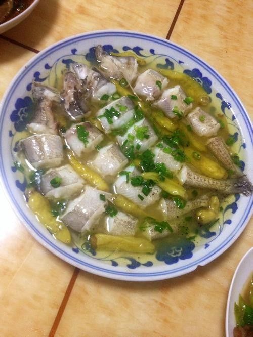 水龍魚(yú)的美食攝影作品哪里找（如何尋找水龍魚(yú)美食攝影作品） 水龍魚(yú)的美食攝影作品哪里找（如何尋找水龍魚(yú)美食攝影作品） 龍魚(yú)百科 第11張