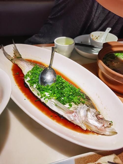 水龍魚(yú)的美食攝影作品哪里找（如何尋找水龍魚(yú)美食攝影作品） 水龍魚(yú)的美食攝影作品哪里找（如何尋找水龍魚(yú)美食攝影作品） 龍魚(yú)百科 第35張