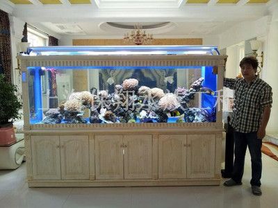 彩蝶魚缸廠簡介：如何購買彩蝶魚缸