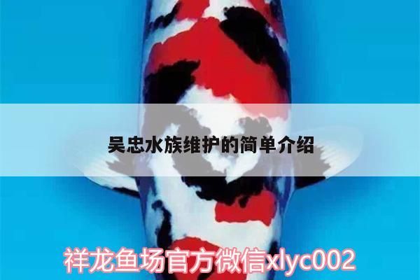 飼料 吳忠水族維護的簡單介紹(關于吳忠水族館的一些問題) 觀賞魚百科 吳忠水族維護的簡單介紹(關于吳忠水族館的一些問題) 吳忠水族維護的簡單介紹(關于吳忠水族館的一些問題) 觀賞魚百科