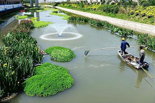 如何判斷龍魚是否需要打氧（萌寵龍魚飼養知識：龍魚打氧需要打氧嗎）
