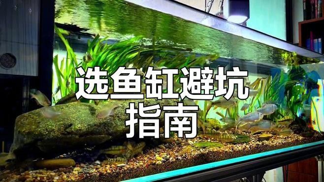 如何判斷一個魚缸的性價比？（一個魚缸的性價比涉及多個因素包括其功能性、耐用性、維護成本） 如何判斷一個魚缸的性價比？（一個魚缸的性價比涉及多個因素包括其功能性、耐用性、維護成本） 龍魚百科 第3張