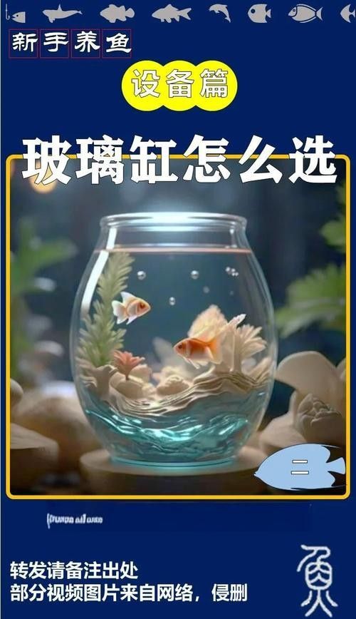 如何判斷一個魚缸的性價比？（一個魚缸的性價比涉及多個因素包括其功能性、耐用性、維護成本） 如何判斷一個魚缸的性價比？（一個魚缸的性價比涉及多個因素包括其功能性、耐用性、維護成本） 龍魚百科 第4張