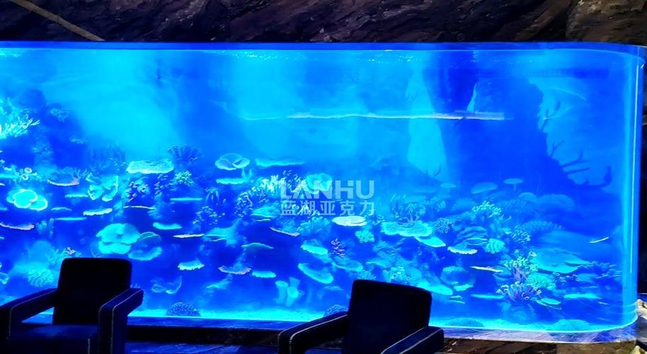 如何判斷一個魚缸的性價比？（一個魚缸的性價比涉及多個因素包括其功能性、耐用性、維護成本） 如何判斷一個魚缸的性價比？（一個魚缸的性價比涉及多個因素包括其功能性、耐用性、維護成本） 龍魚百科 第6張