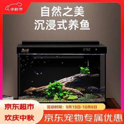 如何判斷一個魚缸的性價比？（一個魚缸的性價比涉及多個因素包括其功能性、耐用性、維護成本） 如何判斷一個魚缸的性價比？（一個魚缸的性價比涉及多個因素包括其功能性、耐用性、維護成本） 龍魚百科 第11張