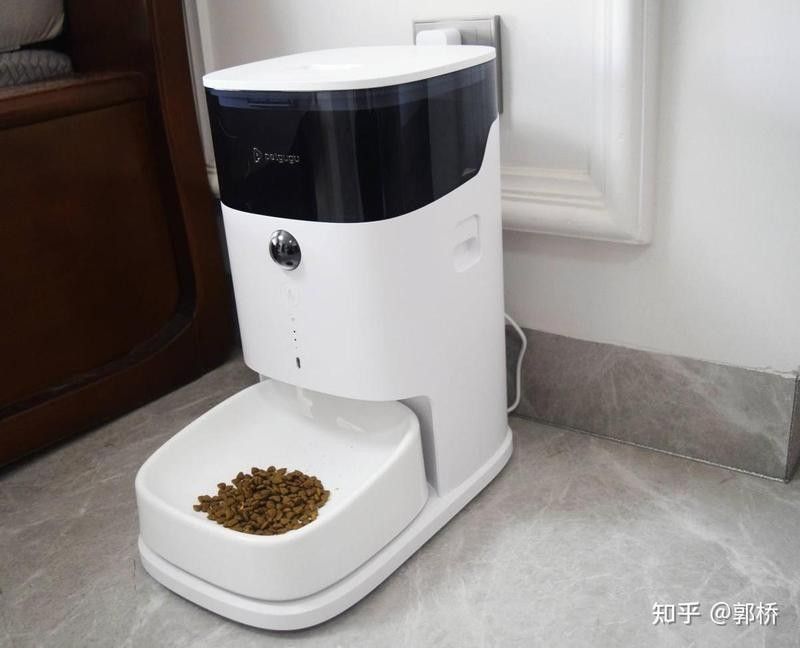 停電期間可以喂食嗎（停電期間，寵物可以喂食動(dòng)物嗎？） 停電期間可以喂食嗎（停電期間，寵物可以喂食動(dòng)物嗎？） 龍魚百科 第3張