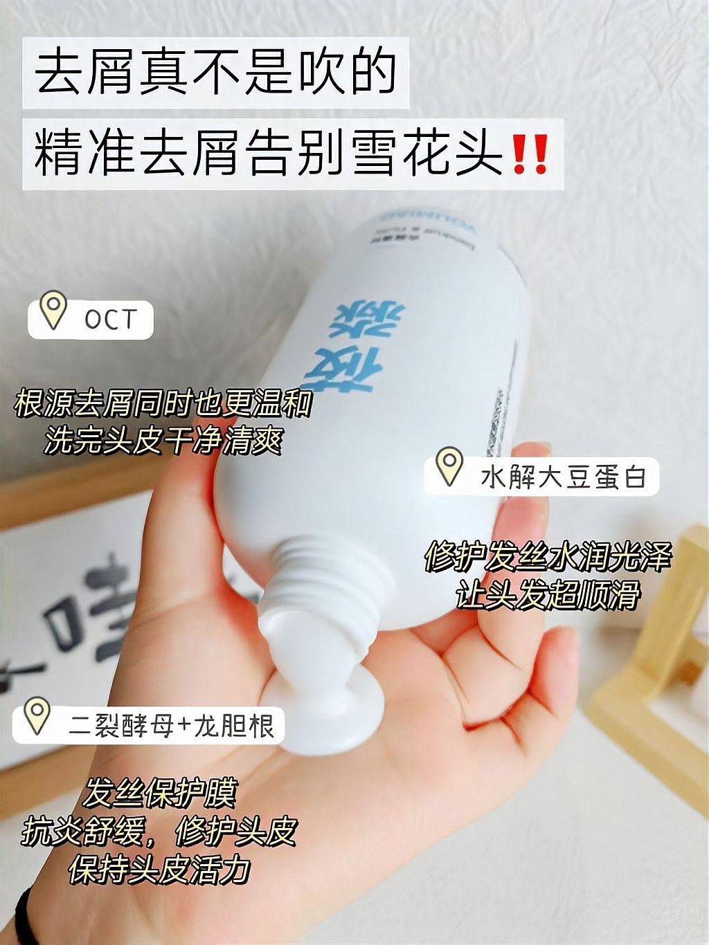這些品牌中哪個口碑最好？（口碑最好的十大品牌） 這些品牌中哪個口碑最好？（口碑最好的十大品牌） 龍魚百科 第7張