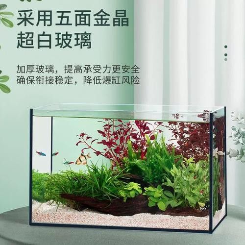黑缸和白缸的價(jià)格差異大嗎（缸和白缸的價(jià)格差異大嗎？）