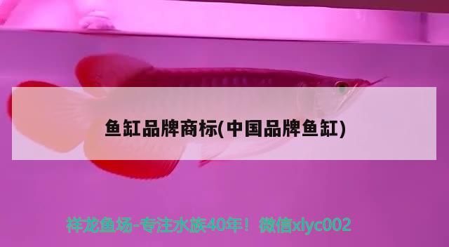 老板在哪里（企業(yè)文化是影響員工感知的關(guān)鍵因素，江門jia泰虎說包住飛度）