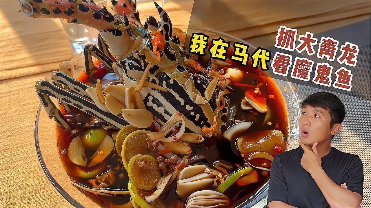 大青龍魚能長多大？（《馬代·居民島》第16集:魔鬼魚看完后）