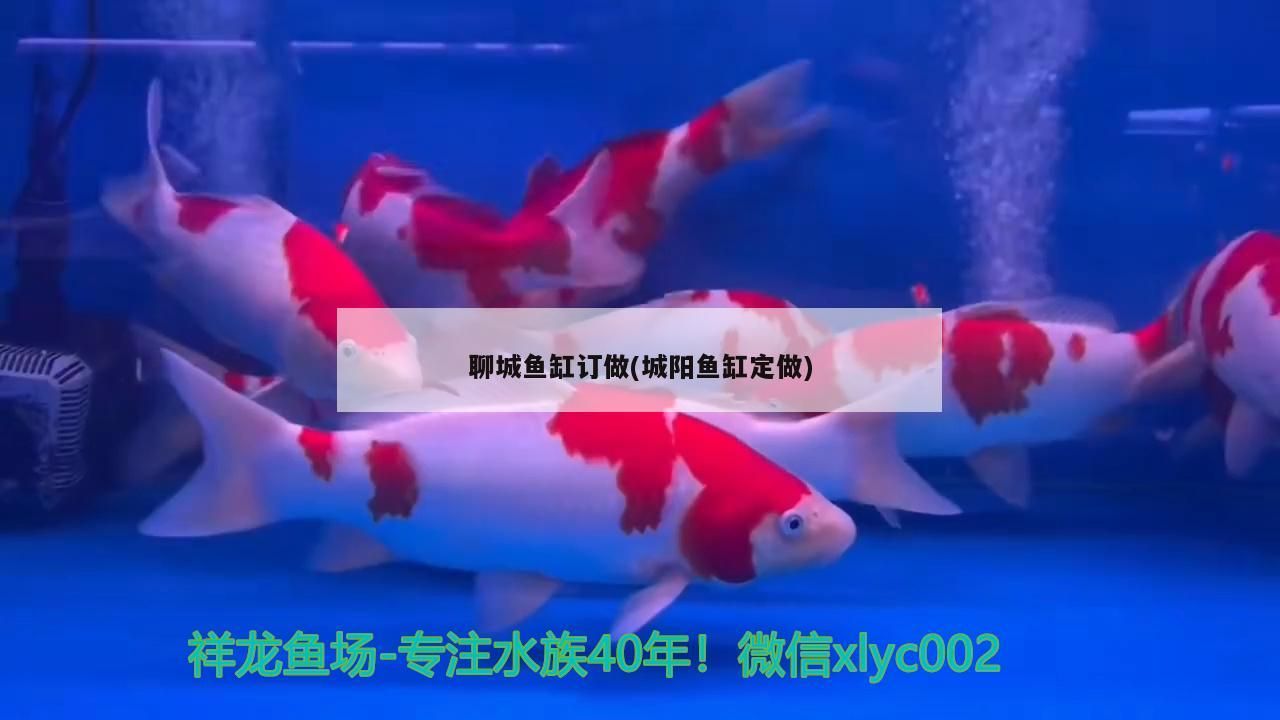 聊城魚缸訂做(城陽魚缸定做)（聊城魚缸定做，聊城魚缸訂做）