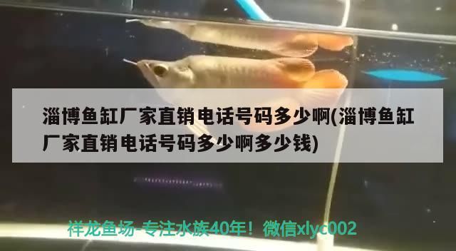 淄博魚缸廠家直銷電話號碼多少啊(淄博魚缸廠家直銷電話號碼多少啊多少錢)（關于淄博魚缸廠家直銷電話號碼多少啊）