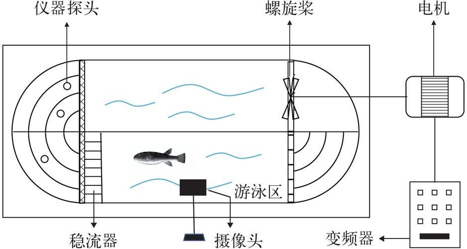 如何預(yù)防魚生病？（水產(chǎn)養(yǎng)殖防病秘籍）