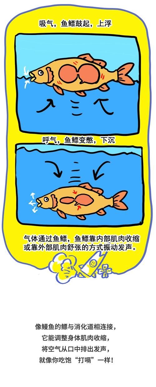 如何預(yù)防魚生病？（水產(chǎn)養(yǎng)殖防病秘籍）